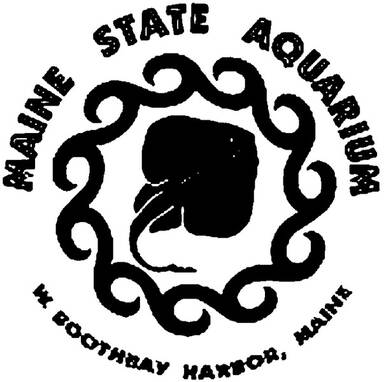 Maine State Aquarium